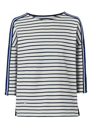 Пуловер tcm tchibo t1690286906 синій з білим 36-38