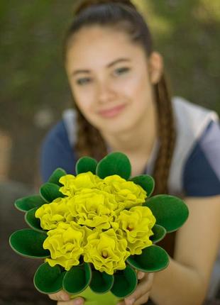 Світлодіодний світильник - фіалки