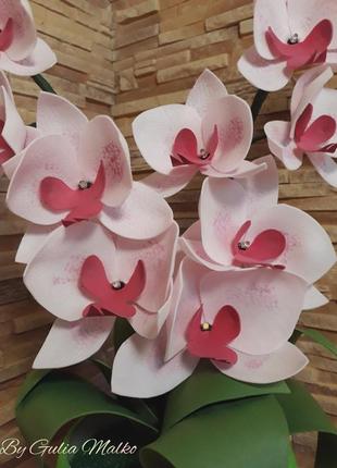 Светильник - розовая орхидея2 фото