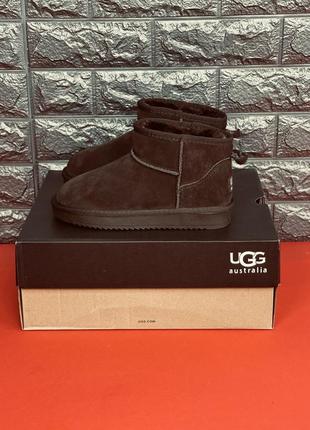 Уггі жіночі ugg australia натуральний замш жіночі в коричневому кольорі3 фото