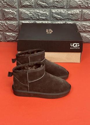 Уггі жіночі ugg australia натуральний замш жіночі в коричневому кольорі