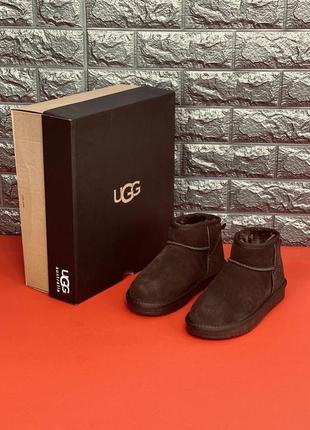 Уггі жіночі ugg australia натуральний замш жіночі в коричневому кольорі6 фото