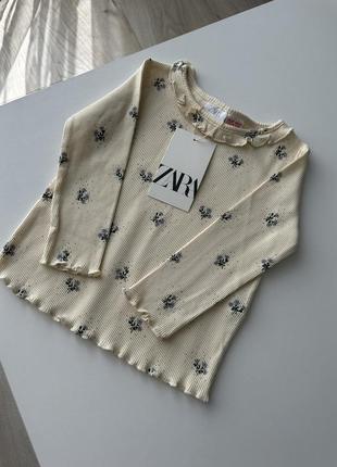 Реглан zara