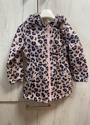 Вітровка h&m