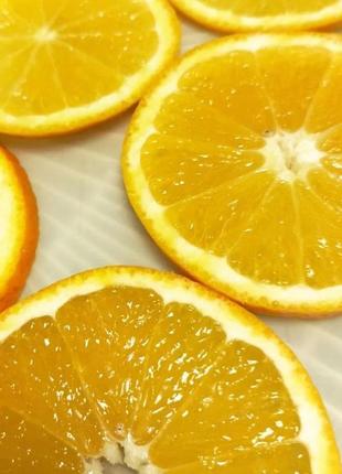 Чай фруктовий обліпиха-лимон-мед, arty / hippophae lemon honey fruit tea, arty, 70 г4 фото