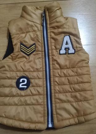 Жилетка на мальчика