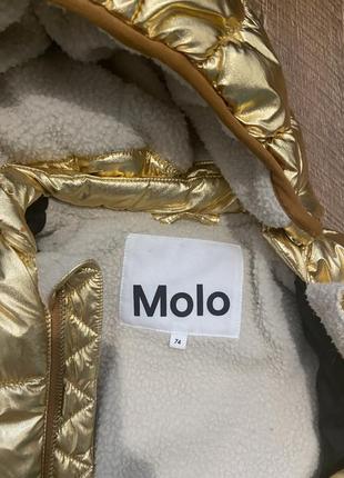 Зимний комбинезон molo 74
