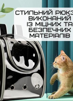 Повітропроникна сумка-переноска для кішок і маленьких собак рюкзак з прозорими стінками для животних до 76 фото