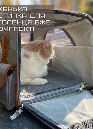 Сумка переноска для кота кішок та маленьких собак у літак переноска для домашніх тварин складна прозора4 фото