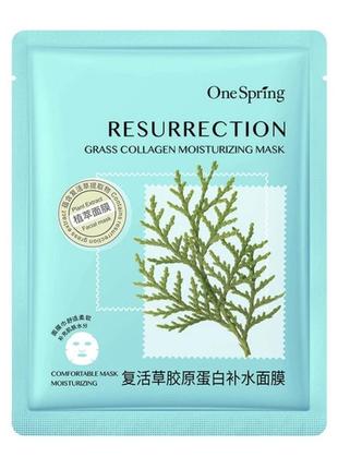 Восстанавливающая тканевая маска onespring resurrection grass collagen moisturizing mask