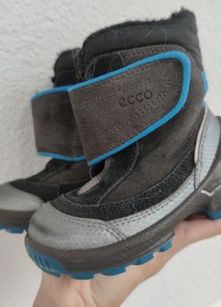 Сапожки ecco