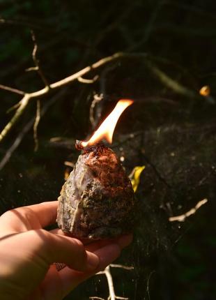 Магическая программная свеча с травами5 фото