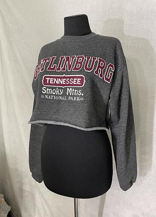 Вкорочений світшот з написом кроп топ catlinburg tennessee valani apparel