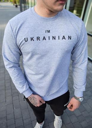 Світшот чоловічий сірий