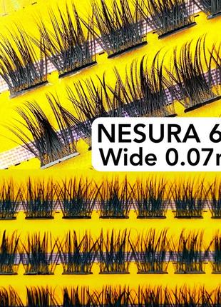 Пучкові накладні вії nesura wide 60d вигин c несура широкі пучки2 фото