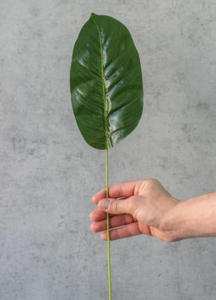 Искусственный лист, латексный, 55 см. зелень премиум-класса для фотозон, интерьеров, декора.