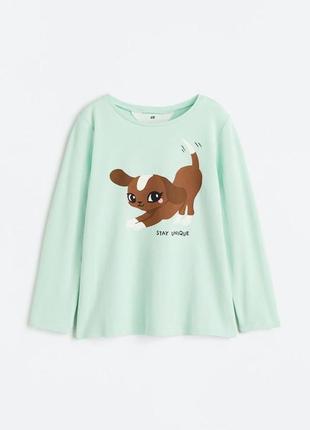 Реглан лонгслив h&m на девочку 4-6-8 лет 110/116 122/128 см кофта hm1 фото