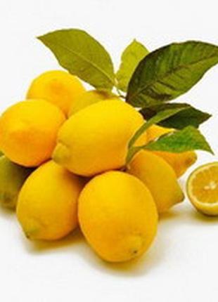 Эфирное масло лимона  20 мл1 фото