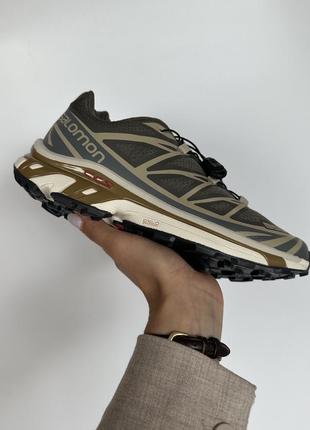 Кроссовки salomon s/lab xt-6 beluga dull gold2 фото