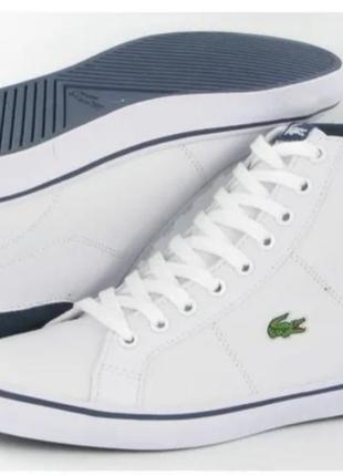 Оригинальные кожаные сникерсы lacoste