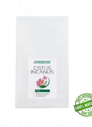 Чай для підвищення імунітету lr cistus incanus трав'яний чай ладанник.