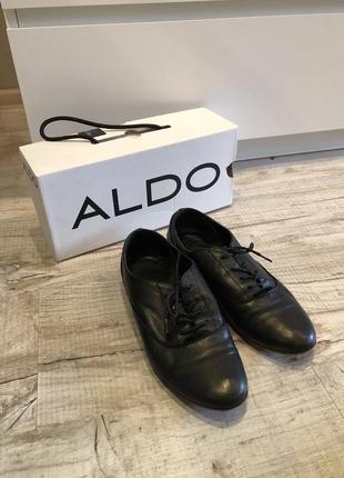 Шкіряні туфлі aldo