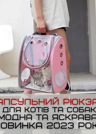 Рюкзак переноска для кота кошек и  собак - до 7 кг с окном иллюминатором розовый2 фото