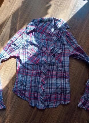 Рубашка у клітинку