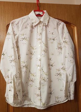 Сорочка massimo dutti