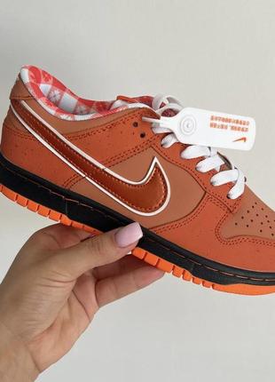 Женские кроссовки nike real sb dunk low lobster orange 36-37-39-40