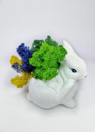 Стабилизированный мох-ягель натуральный мох в кашпо заяц декор для интерьера разноцветный мох1 фото