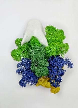Стабілізований мох-ягель натуральний мох у кашпо заєць декор для інтер'єру різнокольоровий мох7 фото