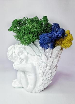 Стабілізований мох декоративний кольоровий мох для дому кашпо з мохом довговічний декор