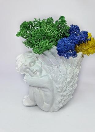 Стабілізований мох декоративний кольоровий мох для дому кашпо з мохом довговічний декор6 фото