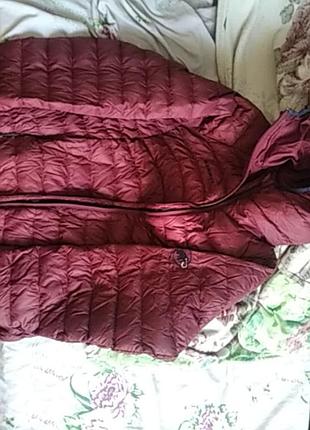 Мікропуховік mammut