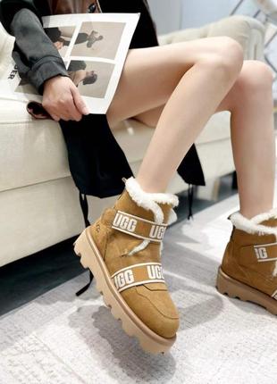 Ugg натуральные3 фото