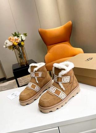 Ugg натуральные7 фото