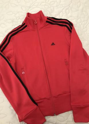 Олимпийка спортивная adidas1 фото