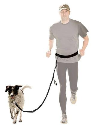 Поводок для бега с собакой zoofari, беговой поводок для собак с весом до 35 кг1 фото