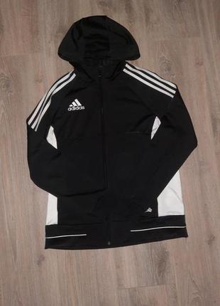 Кофта adidas (164 см)13-14лет1 фото