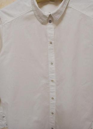 Хлопковая базовая белая рубашка5 фото