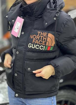 Gucci (tnf) куртка1 фото