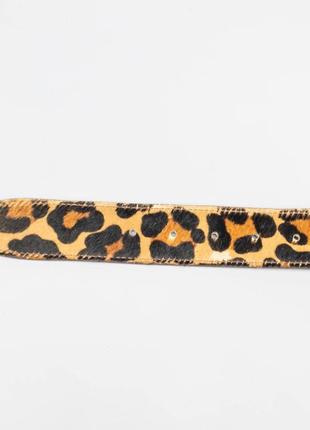 Стильный кожаный ремень dolce & gabbana leopard belt.дизайнерский пояс4 фото