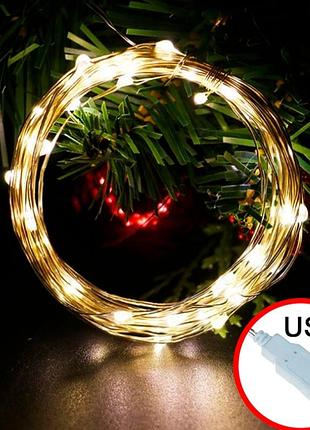 Гірлянда роса на usb 2м