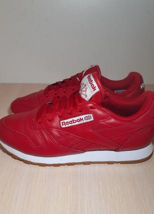 Кросівки reebok