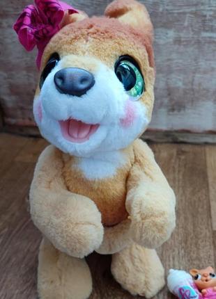 Интерактивная игрушка furreal кенгуру мама джози с сюрпризом4 фото