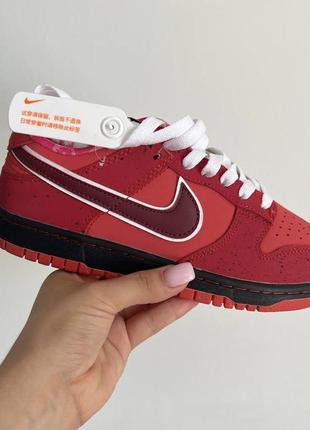 Женские кроссовки nike sb dunk low lobster red 36-38-39