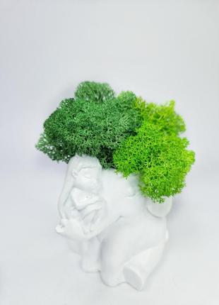Стабилизированный мох кашпо девочка декоративный мох-ягель зеленый мох оригинальный подарок