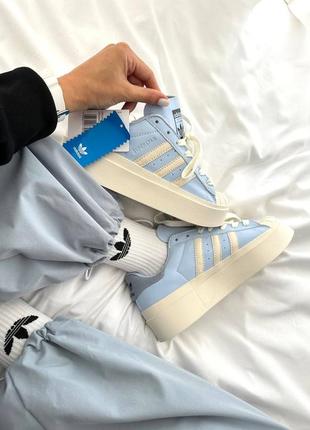 Трендовые кроссовки adidas superstar