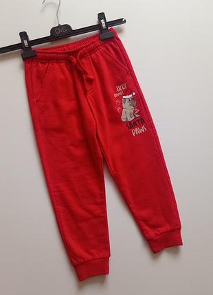 Спортивні штани для дівчинки з начосом
